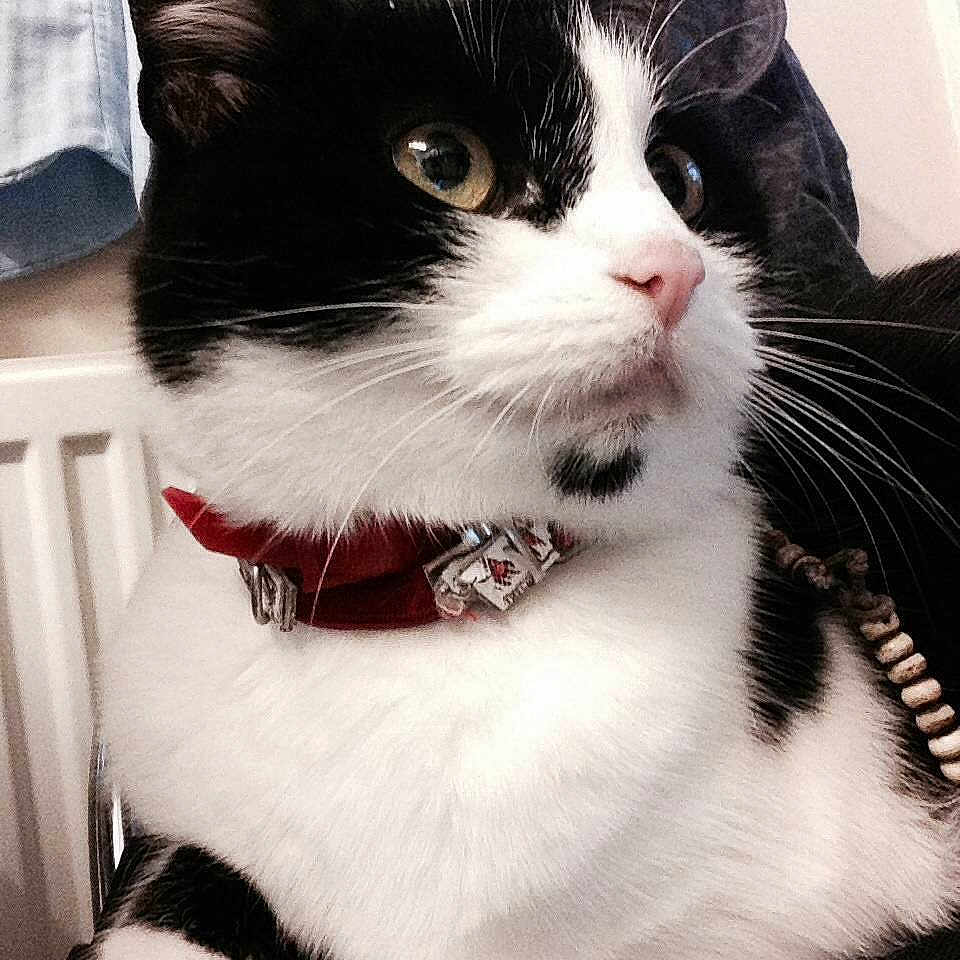 Floss joined the competition — help win amazing prizes!