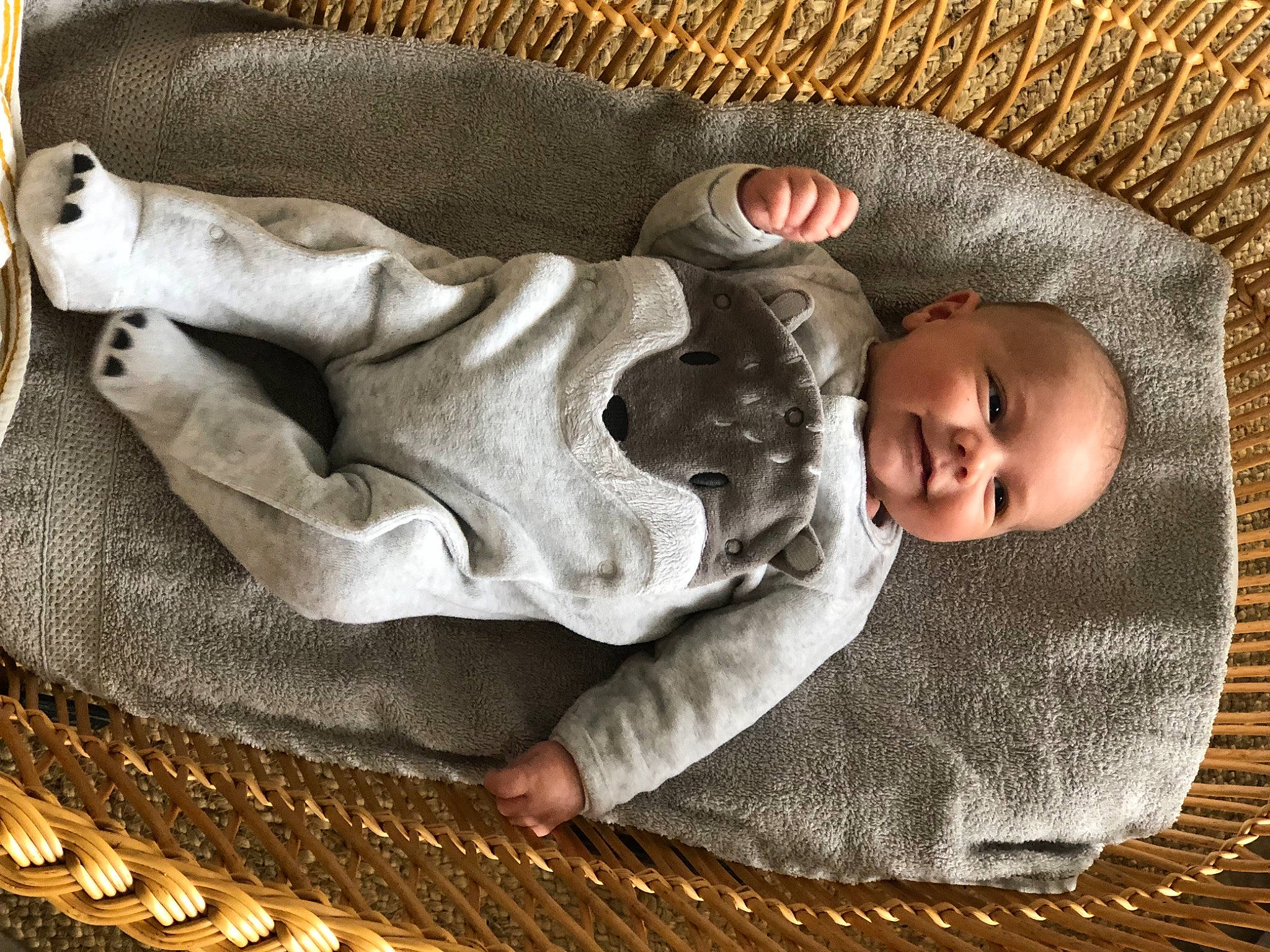 Zack participe au concours pour gagner de l'argent avec cette photo : baby, baby_sleeping, baby_toddler_clothing, bedding, brown, child, comfort, flooring, fur, headgear, infant_bed, joy, linens, mammal, person, product, room, textile, toddler, vertebrate