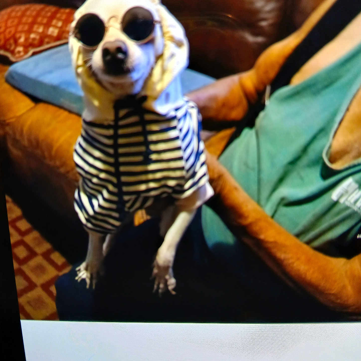 Chico