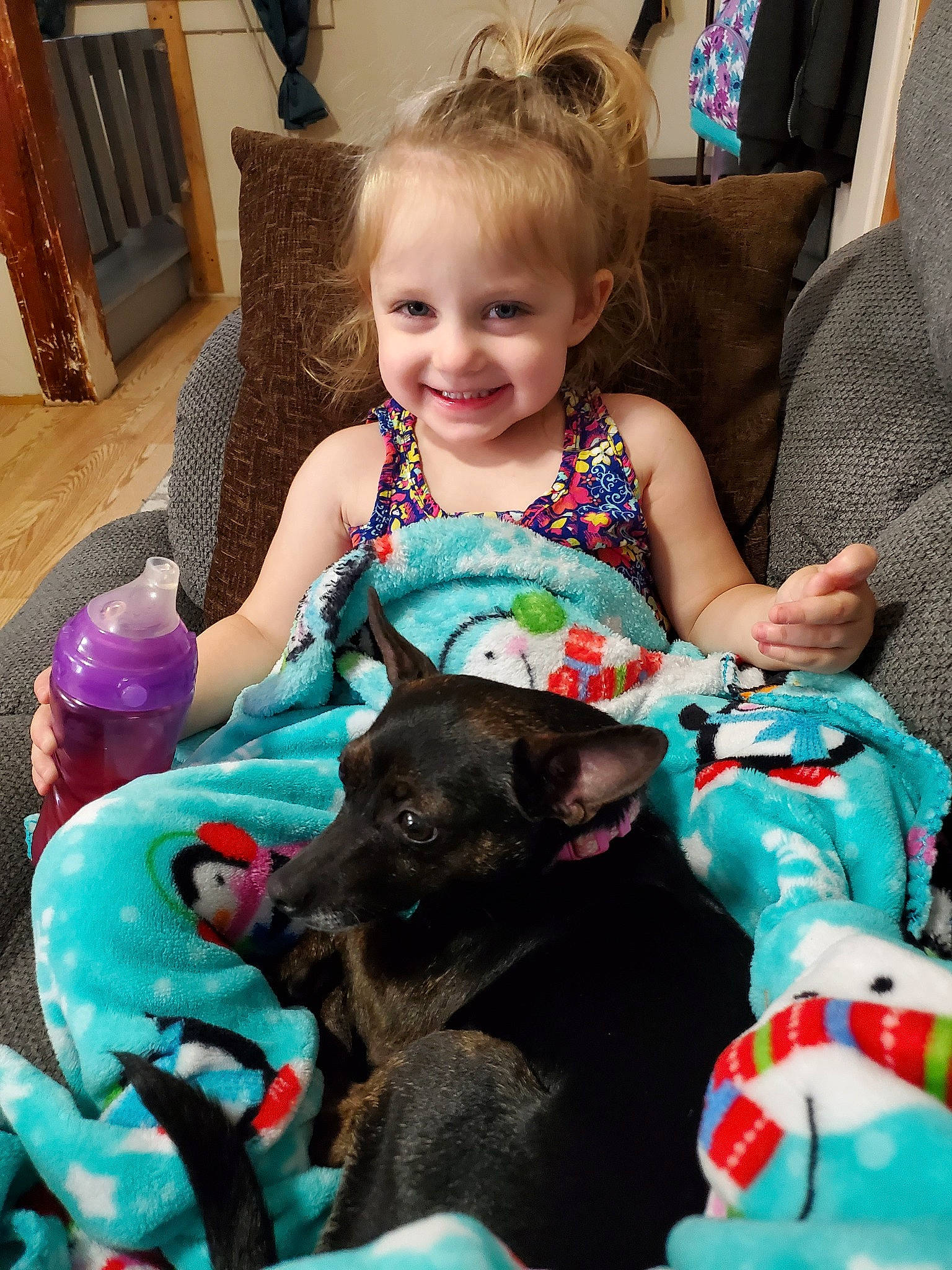 Natalee joined the competition — help win amazing prizes! canidae, carnivore, child, companion_dog, dog, dog_breed, ear, fawn, joy, person, play, puppy, schipperke, sitting, sporting_group, toddler, toy