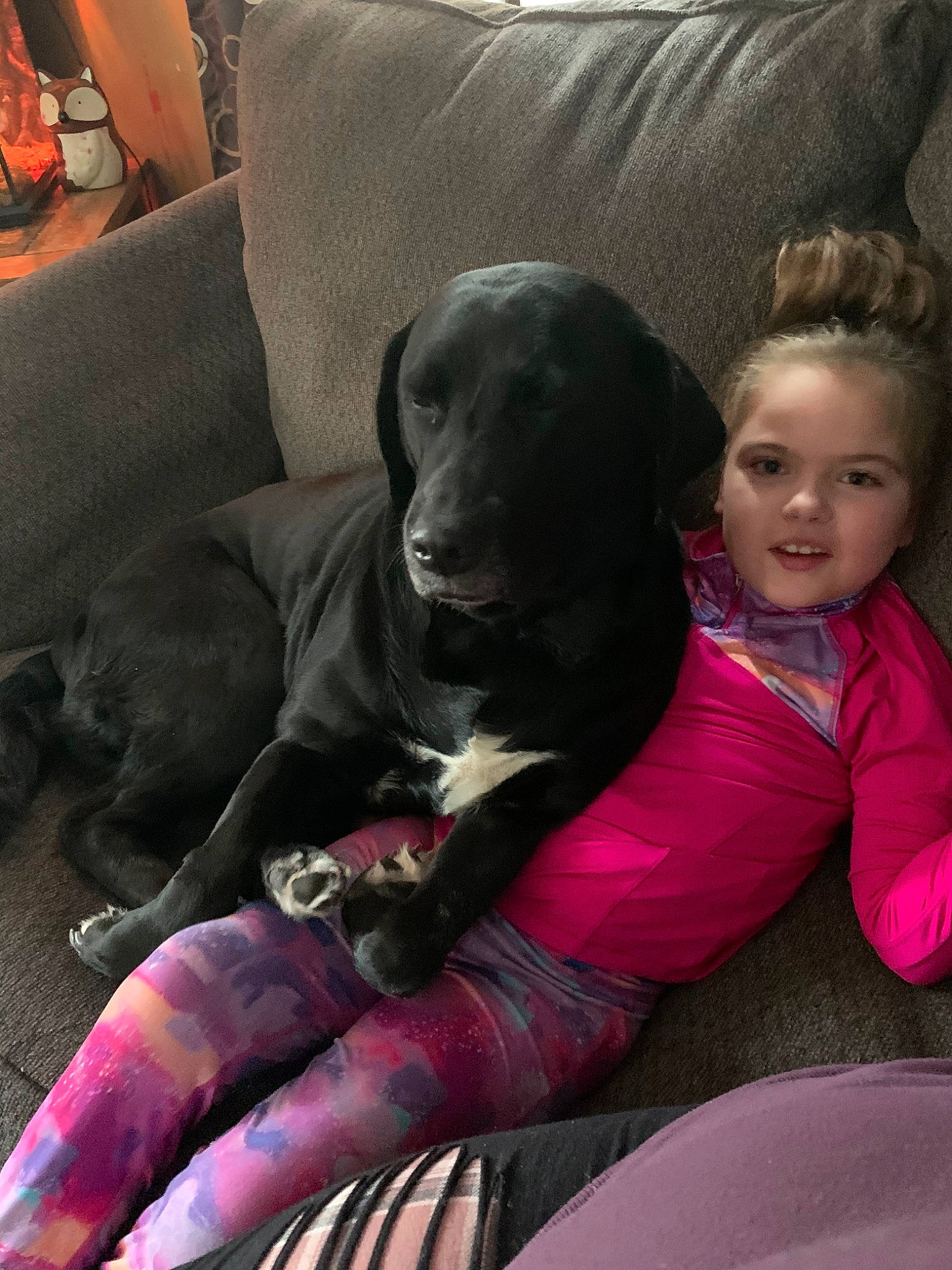 Michaela is registered to the contest to win money with this photo: canidae, carnivore, child, companion_dog, dog, dog_breed, fawn, great_dane, guard_dog, labrador_retriever, non_sporting_group, person, pink, pointing_breed, puppy, sporting_group, weimaraner