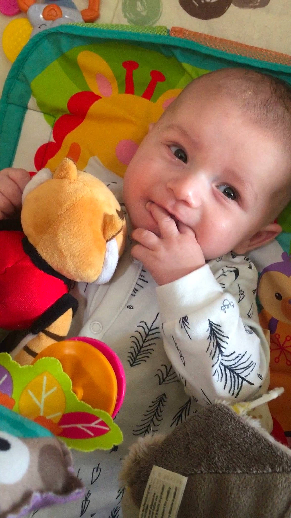 Ilan participe au concours pour gagner de l'argent avec cette photo : baby, baby_products, baby_toys, cheek, child, joy, person, play, plush, product, skin, stuffed_toy, teddy_bear, toddler, toy