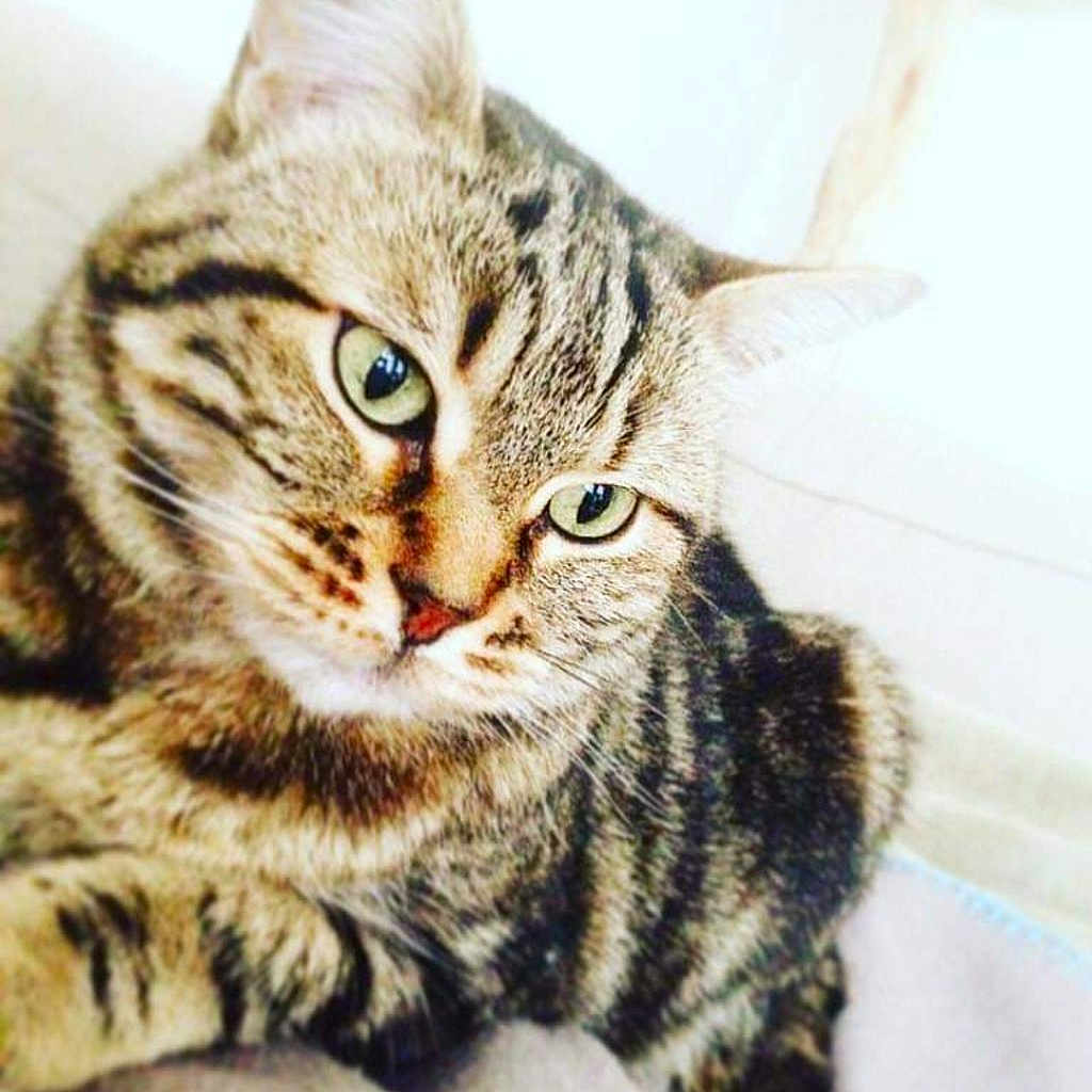 Sunny