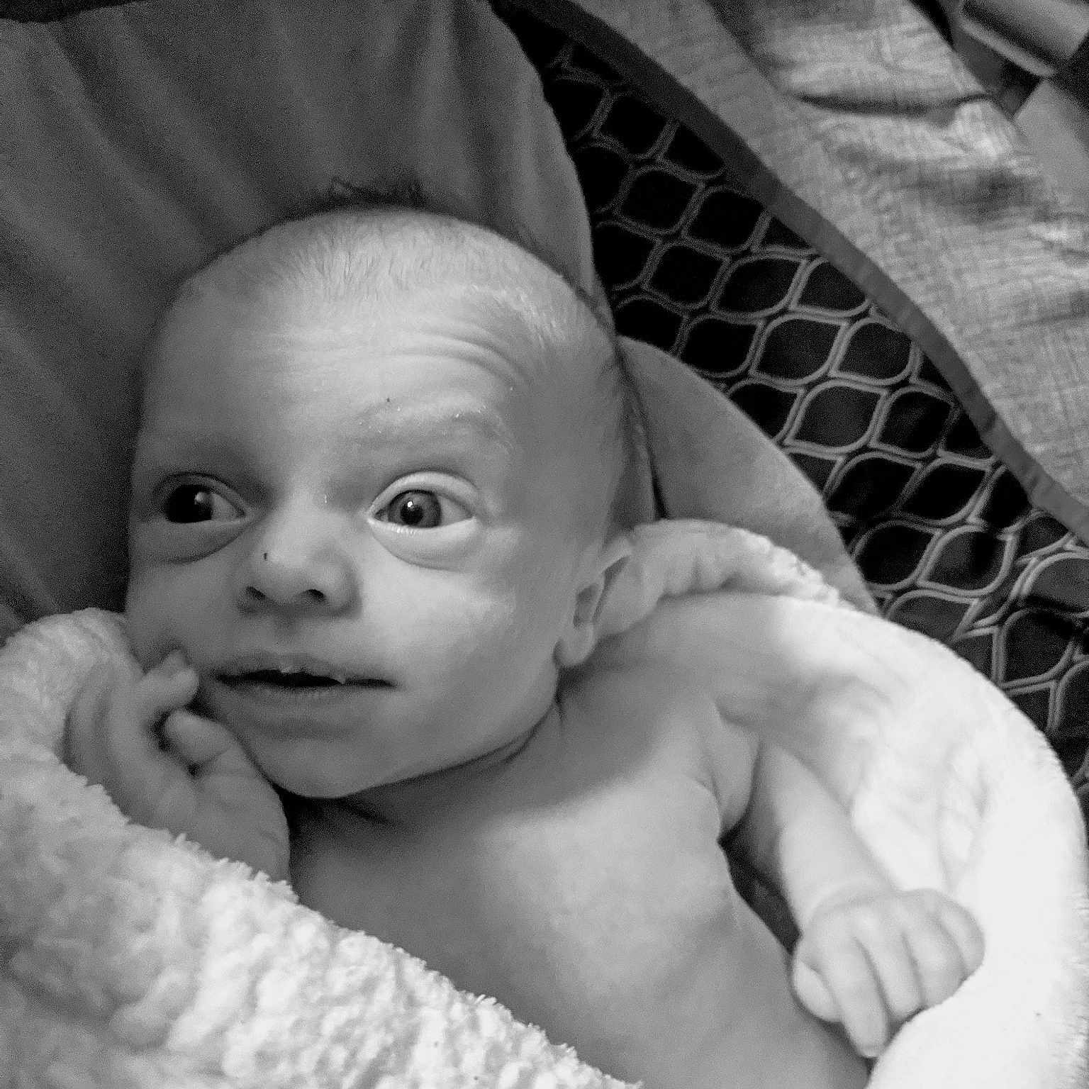 Holdyn