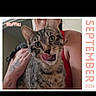 animal, calendar, cat, close_up, cute, domestic_cat, feline, holding, indoor, person, pet, playful, portrait, red_tank_top, smiling, tabby_cat, tattoo, text_overlay, tongue_out, whiskers