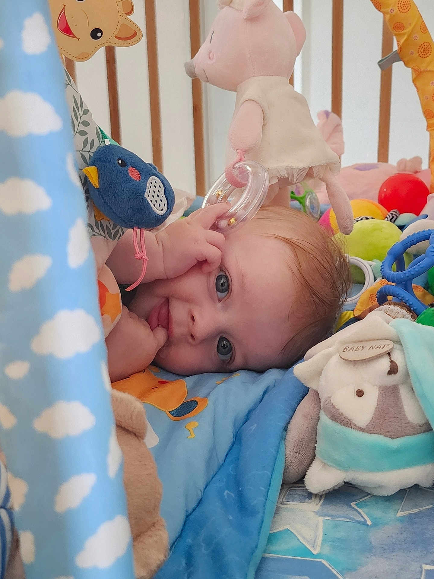 éléanor a rejoint le concours — aidez-le/la à gagner de superbes lots ! baby, blue_eyes, rattle, stuffed_animal, plush_toy, crib, blanket, colorful, play_area, soft_toys, child, infant, cute, tongue_out, hand, face, lying_down, indoors, playtime, happy