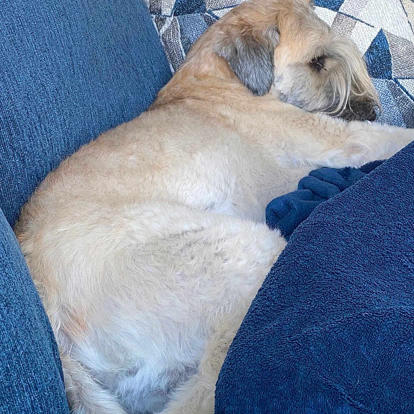 Max