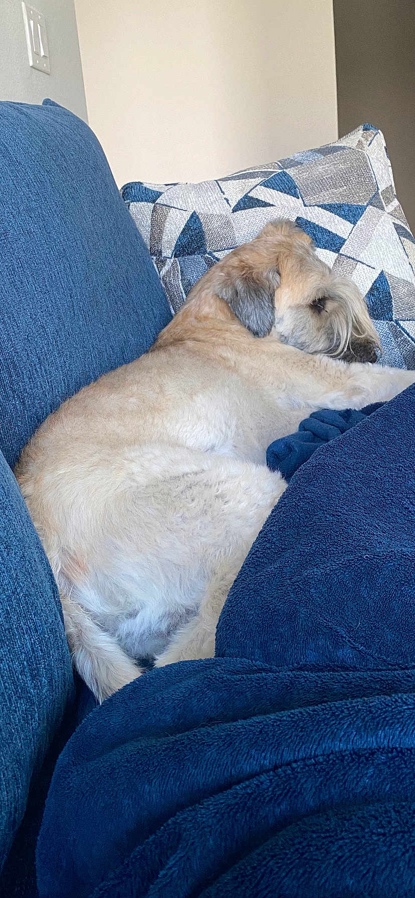 Max