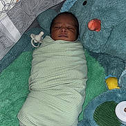 Wesley joined the competition — help win amazing prizes! newborn, baby, swaddled, blanket, sleeping, plush_toy, stuffed_animal, crib, mesh_sides, pacifier, soft_texture, green, blue, orange, infant, cute, resting, child, indoors, cozy
