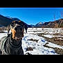 Pyros a rejoint le concours — aidez-le/la à gagner de superbes lots ! dog, doberman, snow, mountain, outdoor, sky, winter, landscape, nature, animal, pet, canine, cold, scenic, adventure, fur, portrait, blue_sky, field, jacket