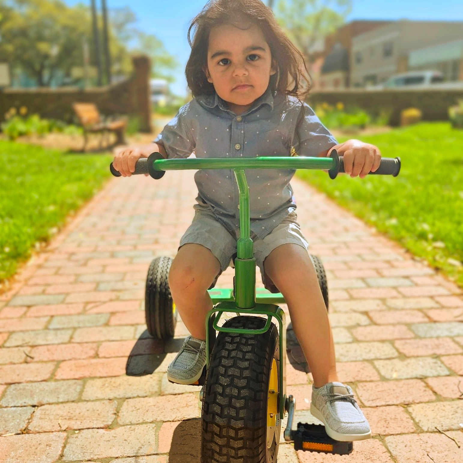 Noah is registered to the contest to win money with this photo: bench, child, daylight, expression, face, grass, green, handlebars, outdoor, park, pathway, shirt, shoes, shorts, summer, sunny, toddler, trees, tricycle, vehicle