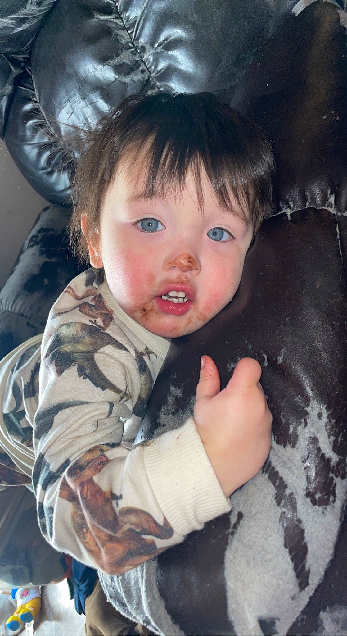 Camden joined the competition — help win amazing prizes! cheek, ear, eye, eyelash, face, facial_expression, finger, flash_photography, gesture, hairstyle, hand, human_body, iris, lip, mammal, mouth, nose, organ, person, skin