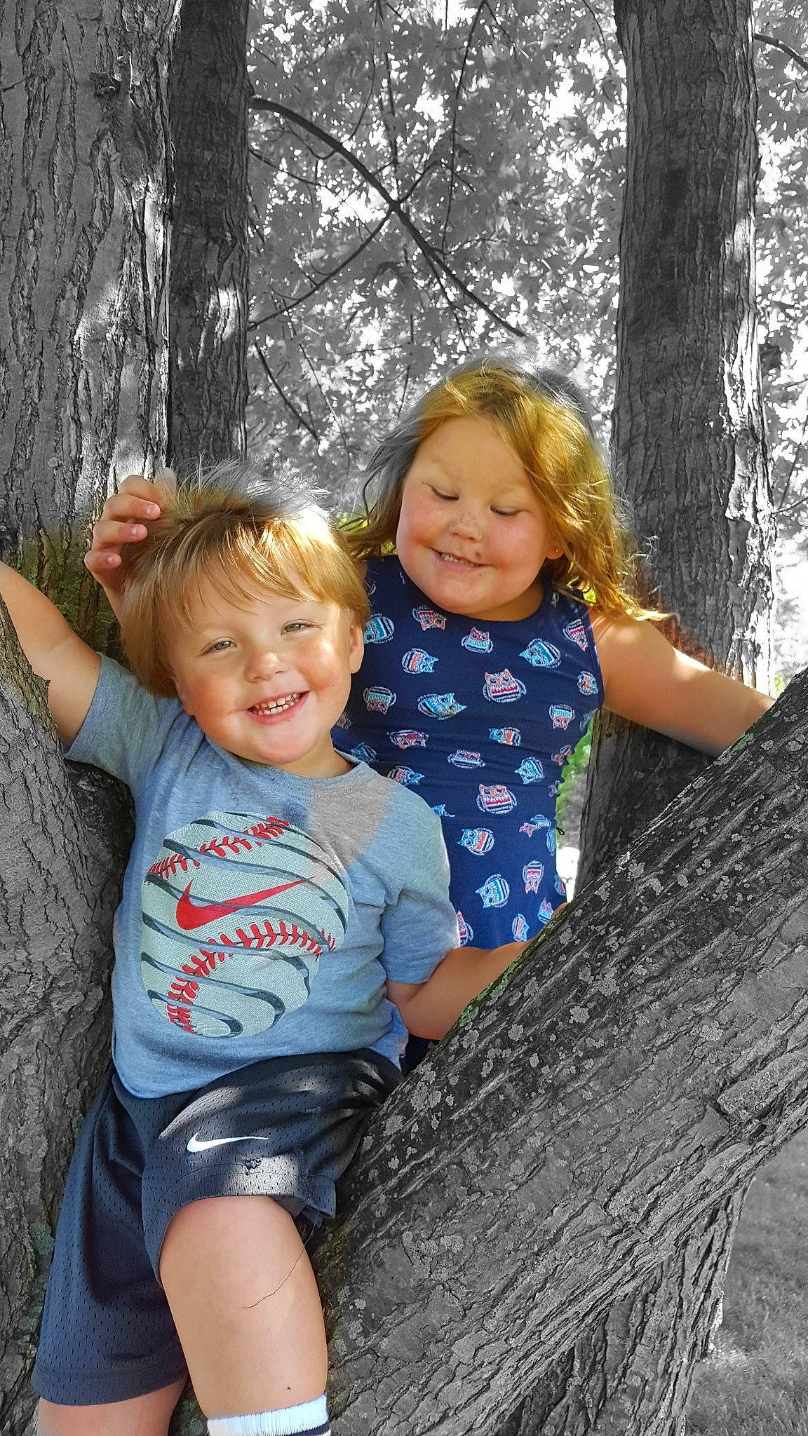 Greyson is registered to the contest to win money with this photo: child, daughter, family, fawn, fun, joy, people, person, photography, plant, sibling, sitting, smile, toddler, tree, trunk, vacation, wood, woody_plant