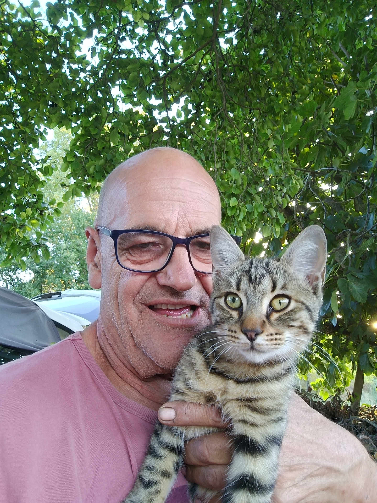 Tom a rejoint le concours — aidez-le/la à gagner de superbes lots ! man, glasses, bald, smiling, holding, cat, tabby_cat, kitten, outdoor, tree, greenery, leaf, nature, car, shirt, portrait, happy, pet, animal, person