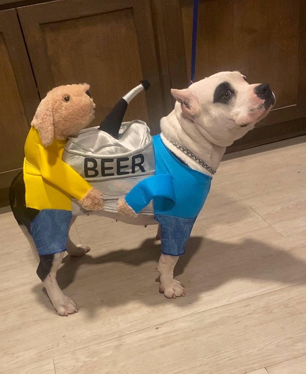 Ink joined the competition — help win amazing prizes! canidae, carnivore, companion_dog, costume, dog, dog_breed, dog_clothes, dog_supply, event, fawn, flooring, fur, pet_supply, snout, sporting_group, t_shirt, tail, toy, toy_dog, working_animal