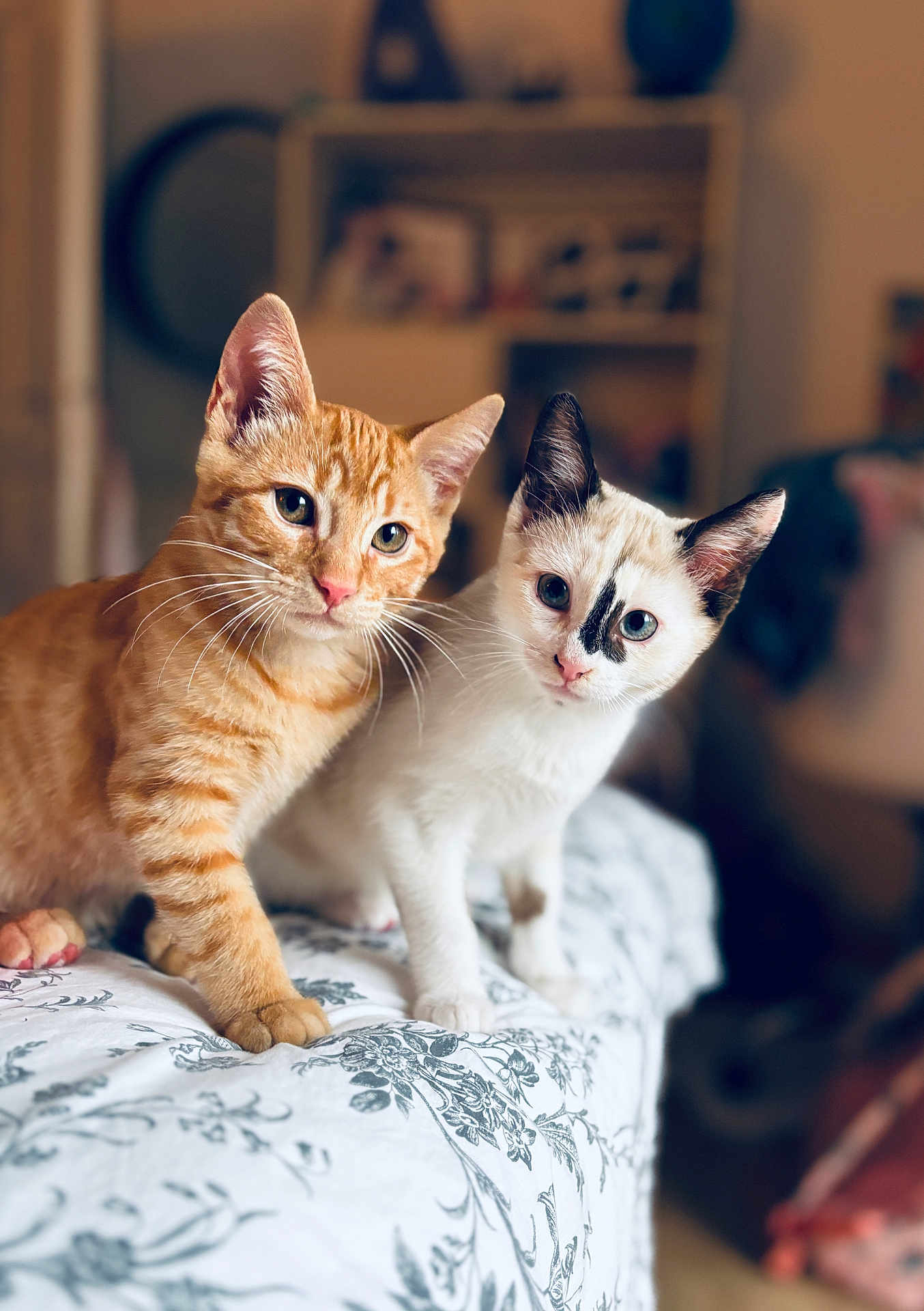 Jean Mich Et Denise