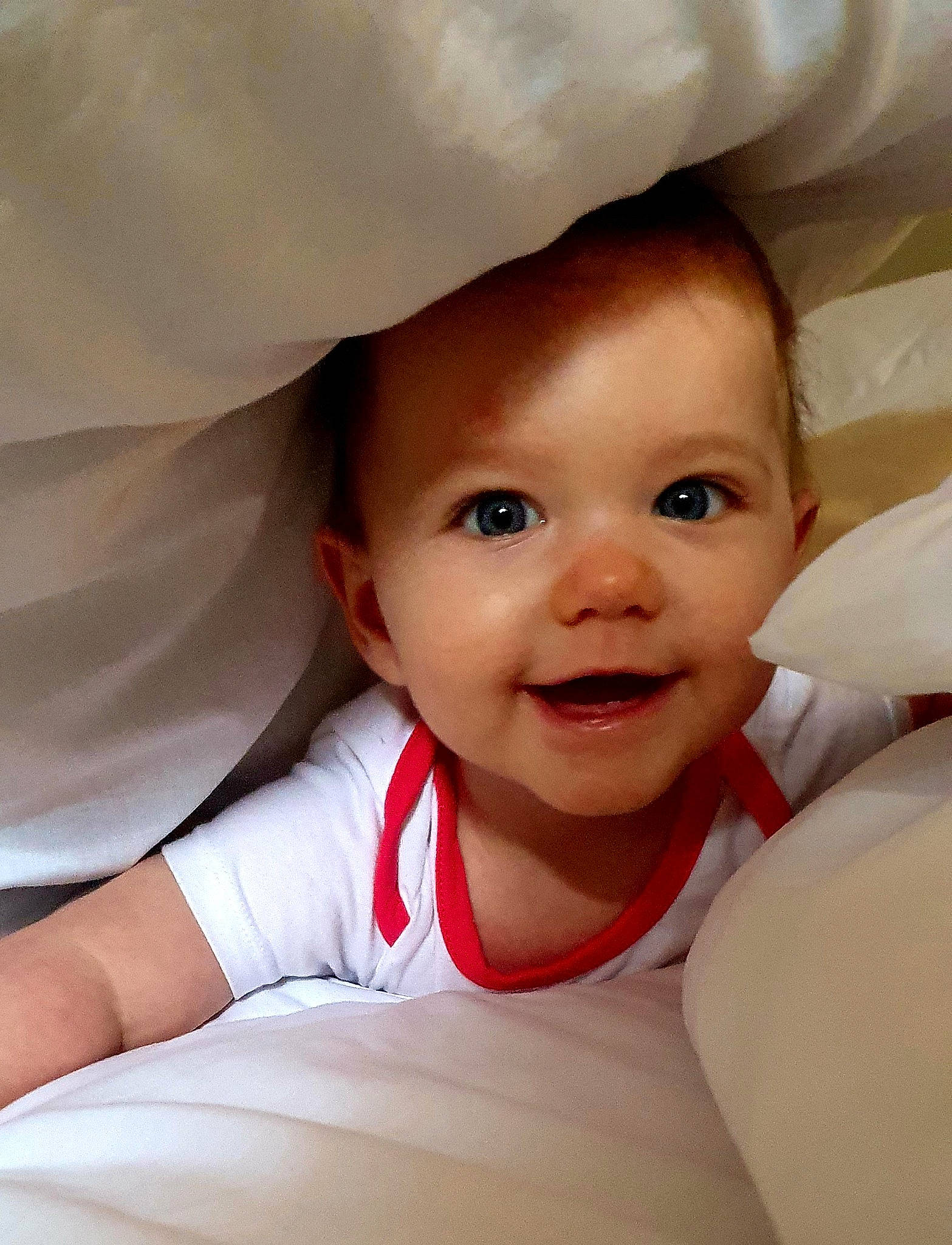 Camélya participe au concours pour gagner de l'argent avec cette photo : baby, cheek, chin, comfort, eyebrow, face, facial_expression, gesture, happy, head, human, iris, joy, lip, mouth, nose, person, product, skin, sleeve