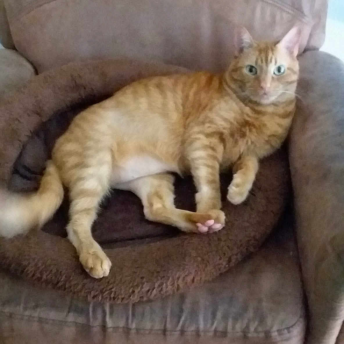 Sonny