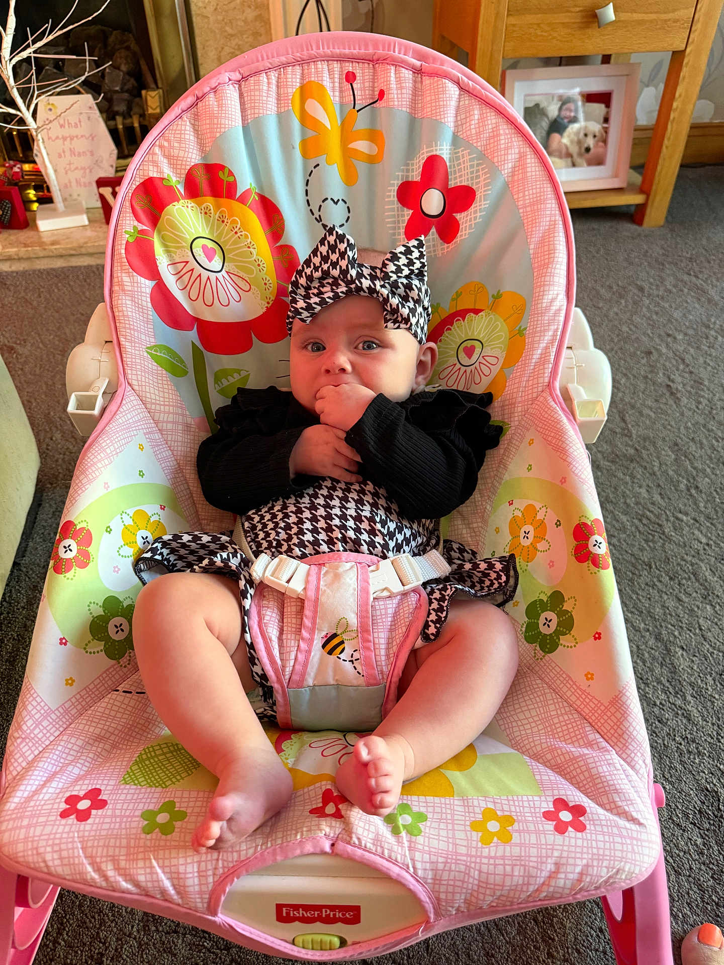 Bonnie-Rae joined the competition — help win amazing prizes! baby, infant, child, fisher_price, baby_chair, headband, black_and_white_clothing, hand_in_mouth, colorful, flower_pattern, bee_pattern, indoor, carpet, furniture, photo_frame, living_room, cute, seated, person, smiling