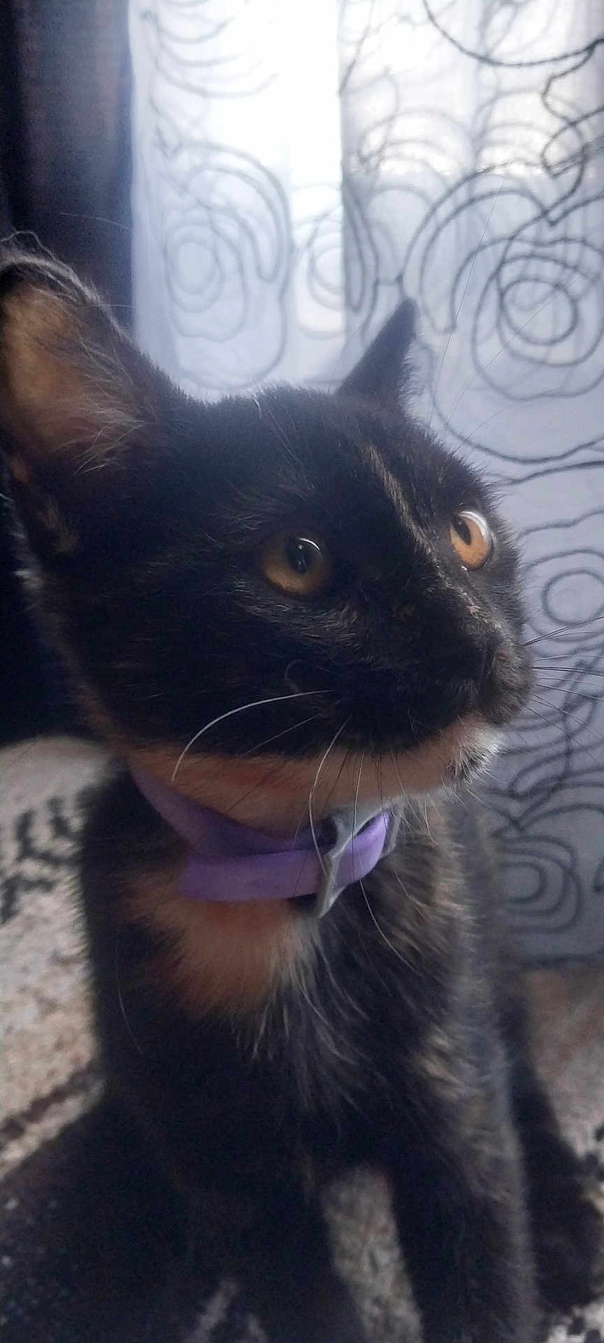 Cinda