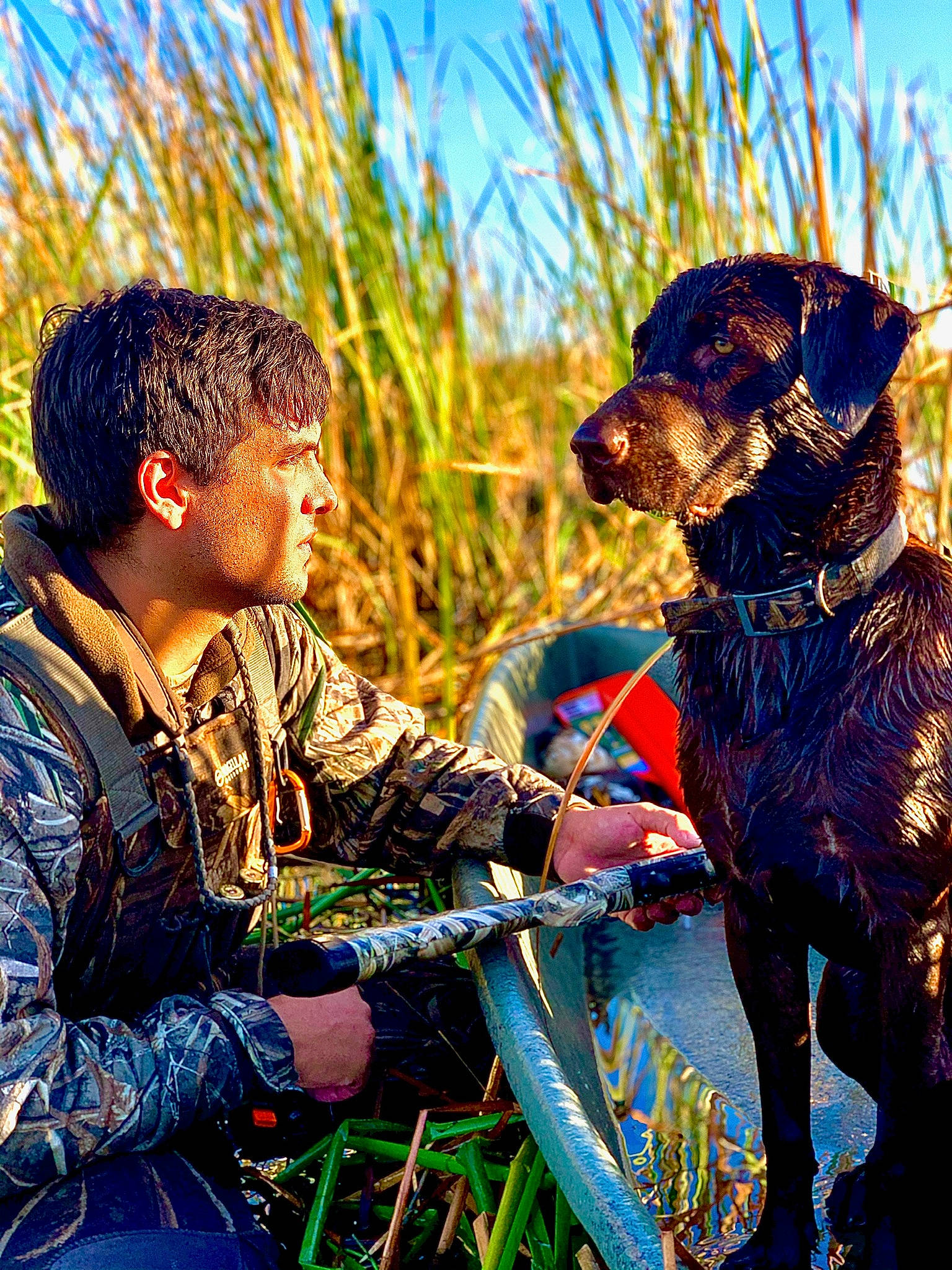 Skye is registered to the contest to win money with this photo: carnivore, companion_dog, dog, dog_breed, fun, grass, grassland, happy, hat, landscape, leash, military_person, people_in_nature, plant, recreation, sky, tradition, walking, wildlife, working_animal