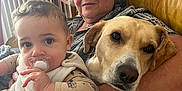 Paco participe au concours pour gagner de l'argent avec cette photo : elderly_woman, baby, dog, couch, indoor, pacifier, plaid_shirt, living_room, comfort, family, pet, arm, close_up, expression, human, seated, furniture, head, holding, relaxation