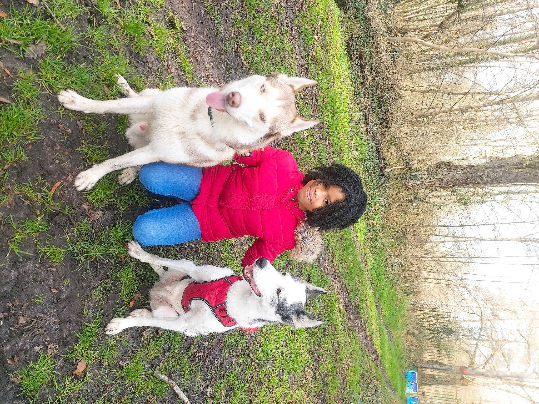 Yoko a rejoint le concours — aidez-le/la à gagner de superbes lots ! ancient_dog_breeds, canidae, carnivore, companion_dog, dog, dog_breed, fawn, fun, fur, grass, happy, lap, leisure, livestock_guardian_dog, non_sporting_group, plant, recreation, sporting_group, tail, tree