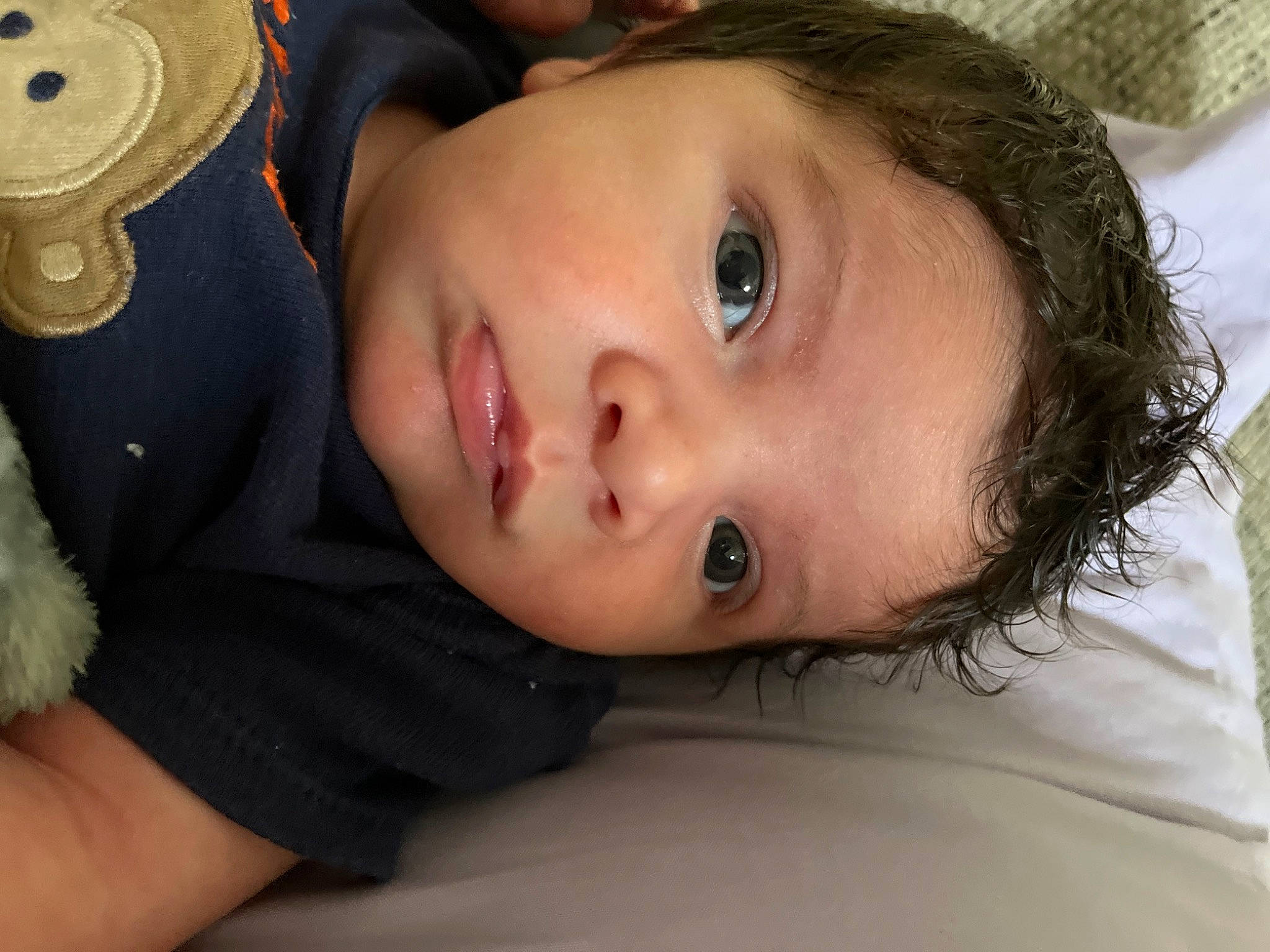 Ace is registered to the contest to win money with this photo: baby, baby_toddler_clothing, cheek, child, chin, comfort, eyebrow, eyelash, fun, fur, happy, head, iris, lip, nose, person, plant, skin, smile, toddler