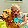 toddler, child, dog, golden_retriever, hug, smile, outdoor, sunlight, green_grass, blue_bowl, dress, flower_pattern, happy, pet, cute, summer, playful, closeup, portrait, friendship