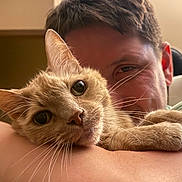 Ike joined the competition — help win amazing prizes! affection, animal, cat, close_up, comfort, cozy, cute, face, feline, home, hugging, indoor, love, orange_cat, person, pet, portrait, relaxed, warm_light, whiskers