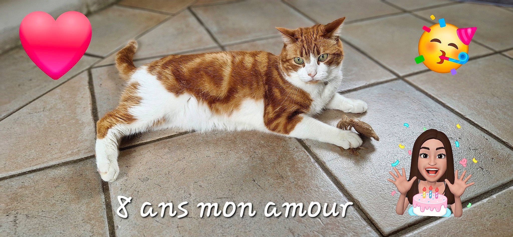 Irys a rejoint le concours — aidez-le/la à gagner de superbes lots ! art, balloon, carnivore, cat, comfort, domestic_short_haired_cat, fawn, felidae, flooring, font, fur, happy, paw, photo_caption, sitting, small_to_medium_sized_cats, tail, whiskers, wood