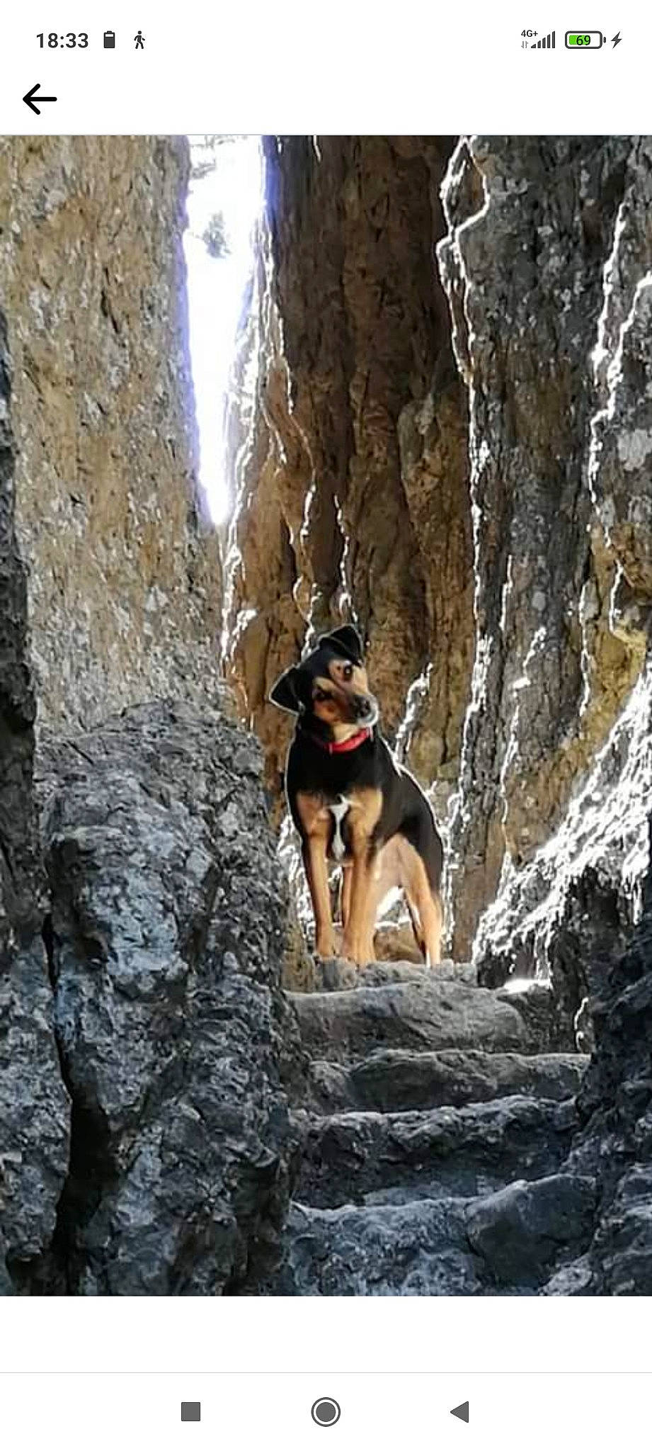 Filou participe au concours pour gagner de l'argent avec cette photo : adventure, bedrock, carnivore, climbing, dog, dog_breed, dog_hiking, fault, fun, klippe, mountain, mountaineer, mountaineering, outcrop, recreation, rock, rock_climbing_equipment, sport_climbing, sports, sunglasses