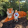 boy, child, garden, mulch, nature, outdoor, painted_tiger, plants, portrait, shirt, shoes, shorts, smiling, standing, sunlight, tiger, tiger_statue, toddler, trees, wildlife