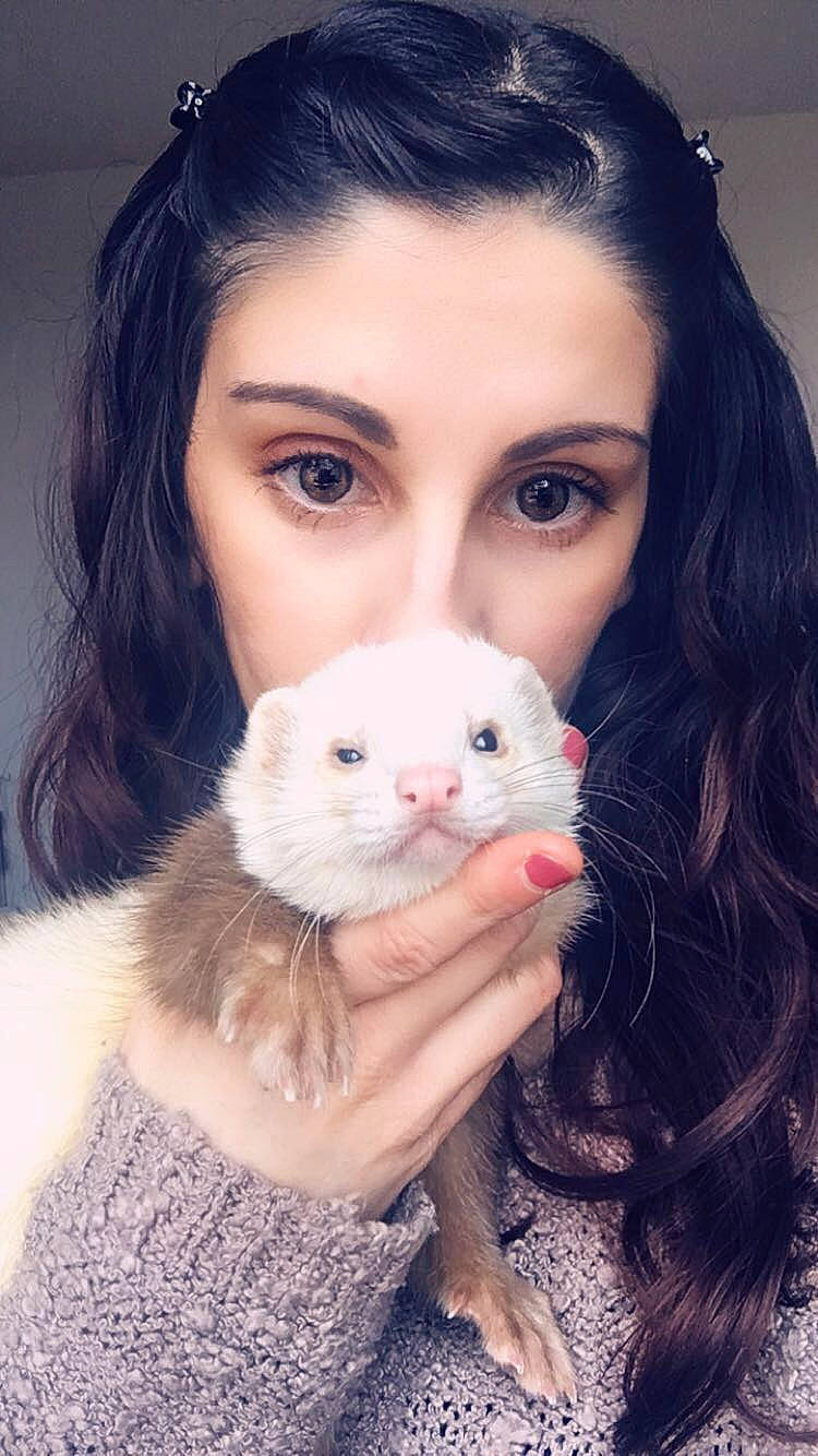 Peanut participe au concours pour gagner de l'argent avec cette photo : american_curl, black_hair, carnivore, cat, cheek, eye, face, fawn, felidae, fur, hair, iris, kitten, long_hair, mammal, nose, person, skin, small_to_medium_sized_cats, turkish_van