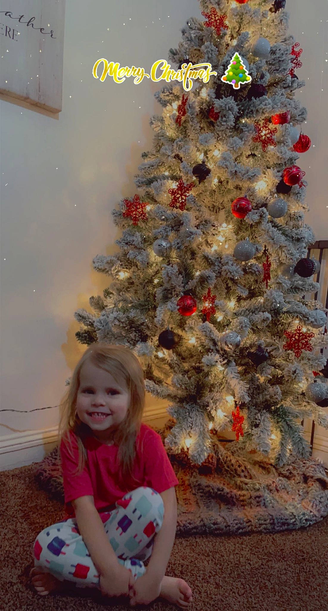 Leighton joined the competition — help win amazing prizes! baby_toddler_clothing, branch, christmas, christmas_decoration, christmas_ornament, christmas_tree, event, evergreen, happy, holiday, holiday_ornament, joy, ornament, people, person, photograph, plant, smile, toddler, tree