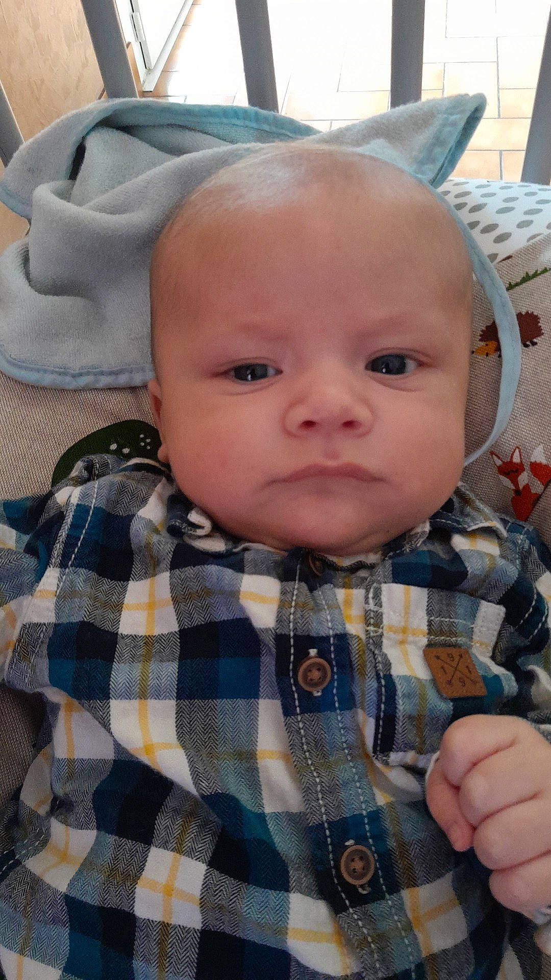 Paolo participe au concours pour gagner de l'argent avec cette photo : baby, baby_toddler_clothing, cheek, child, chin, collar, dress_shirt, ear, eye, face, head, iris, lip, nose, person, plaid, skin, sleeve, tartan, textile