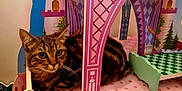 Simba a rejoint le concours — aidez-le/la à gagner de superbes lots ! cat, tabby_cat, toy_castle, pink, purple, indoor, pet, animal, feline, curious, relaxed, playful, castle, decor, furniture, house, closeup, resting, whiskers, ears
