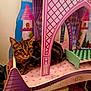 cat, tabby_cat, toy_castle, pink, purple, indoor, pet, animal, feline, curious, relaxed, playful, castle, decor, furniture, house, closeup, resting, whiskers, ears