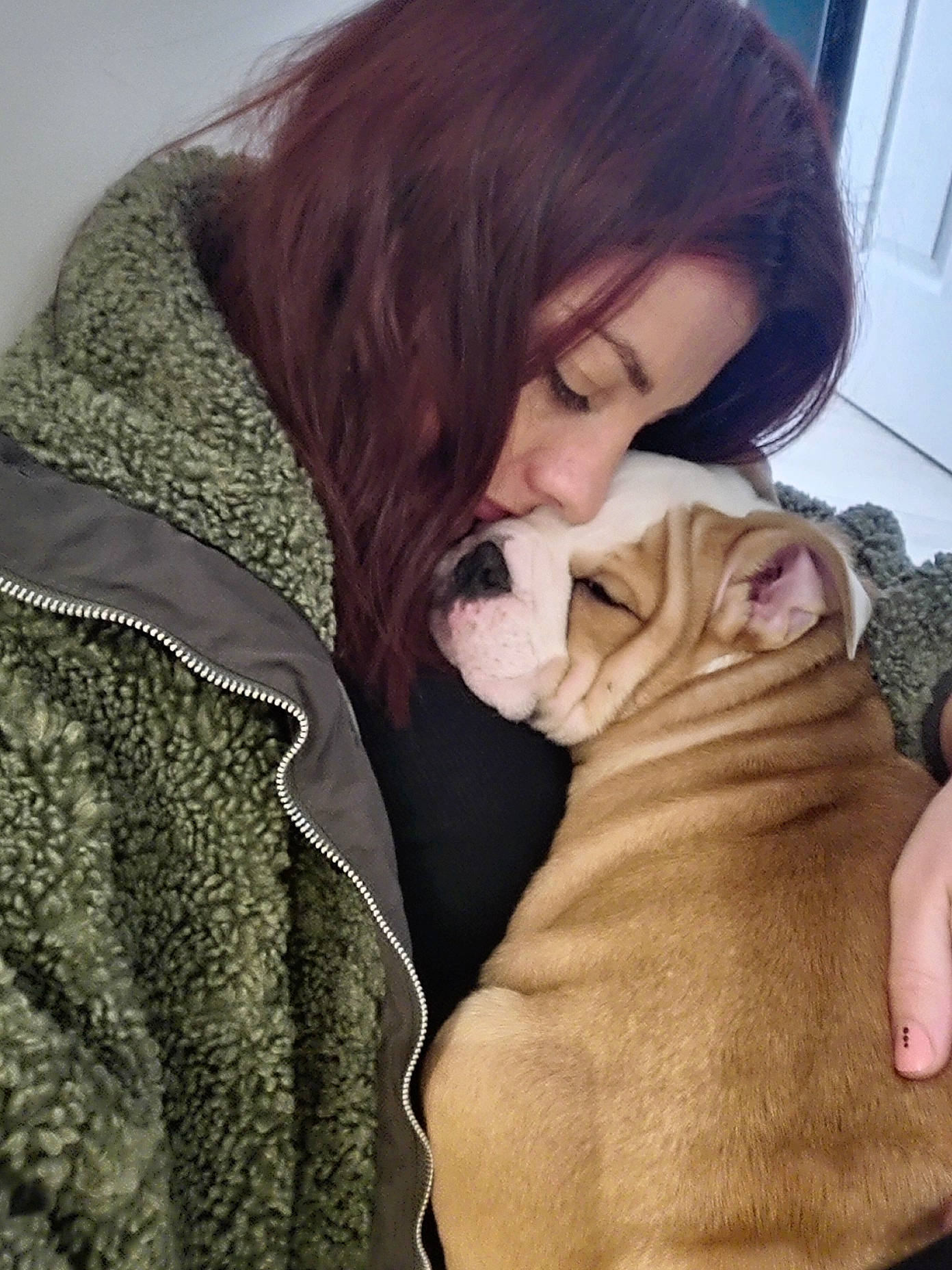 Ike is registered to the contest to win money with this photo: bangs, black_hair, carnivore, chest, comfort, companion_dog, dog, dog_breed, eyelash, fawn, fur, gesture, happy, long_hair, selfie, skin, sporting_group, toy_dog, trunk, wrinkle