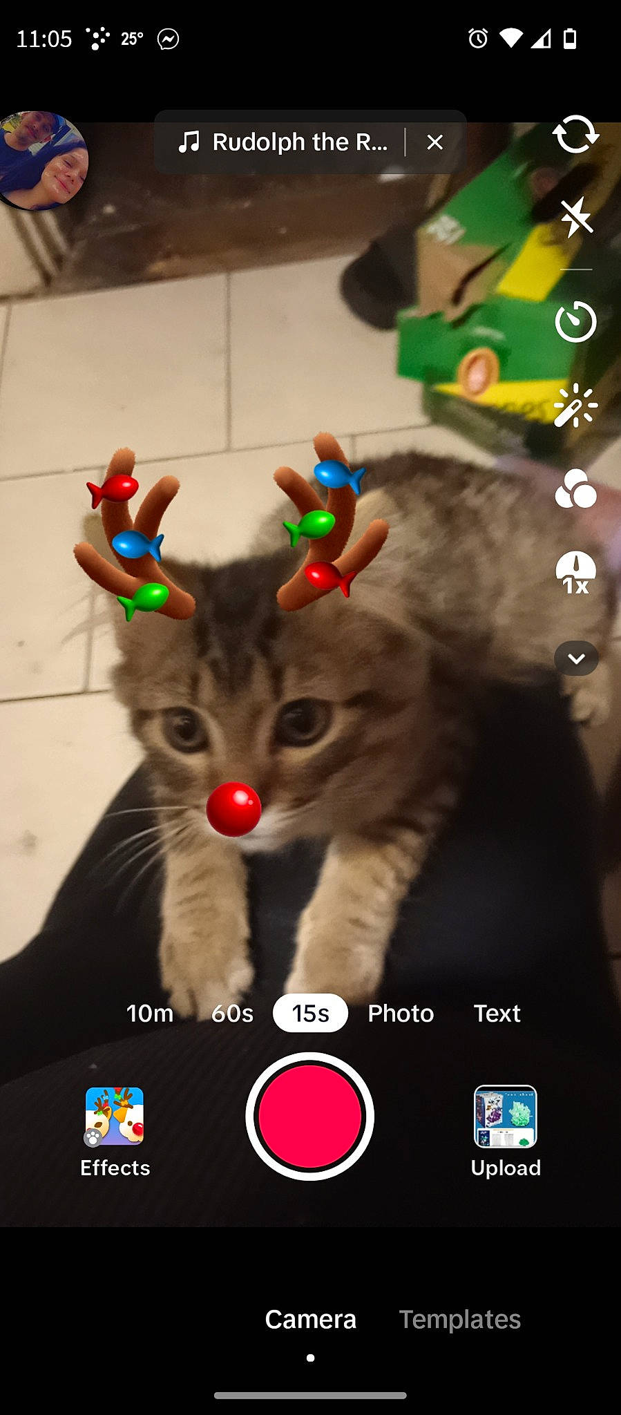 Cheshire is registered to the contest to win money with this photo: carnivore, cat, christmas_ornament, costume_hat, domestic_short_haired_cat, event, fawn, felidae, font, fur, holiday, holiday_ornament, mammal, paw, photo_caption, screenshot, small_to_medium_sized_cats, snout, tail, whiskers