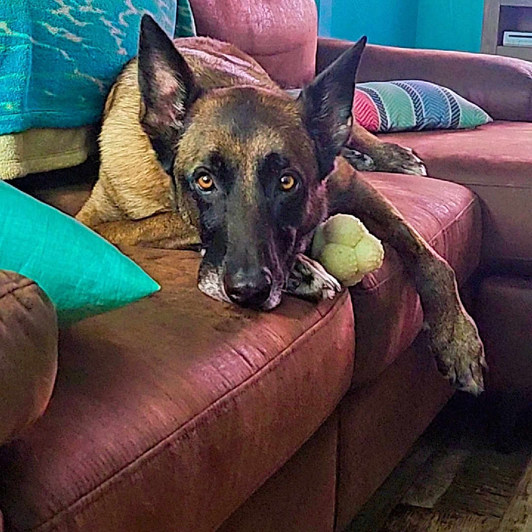 Loki