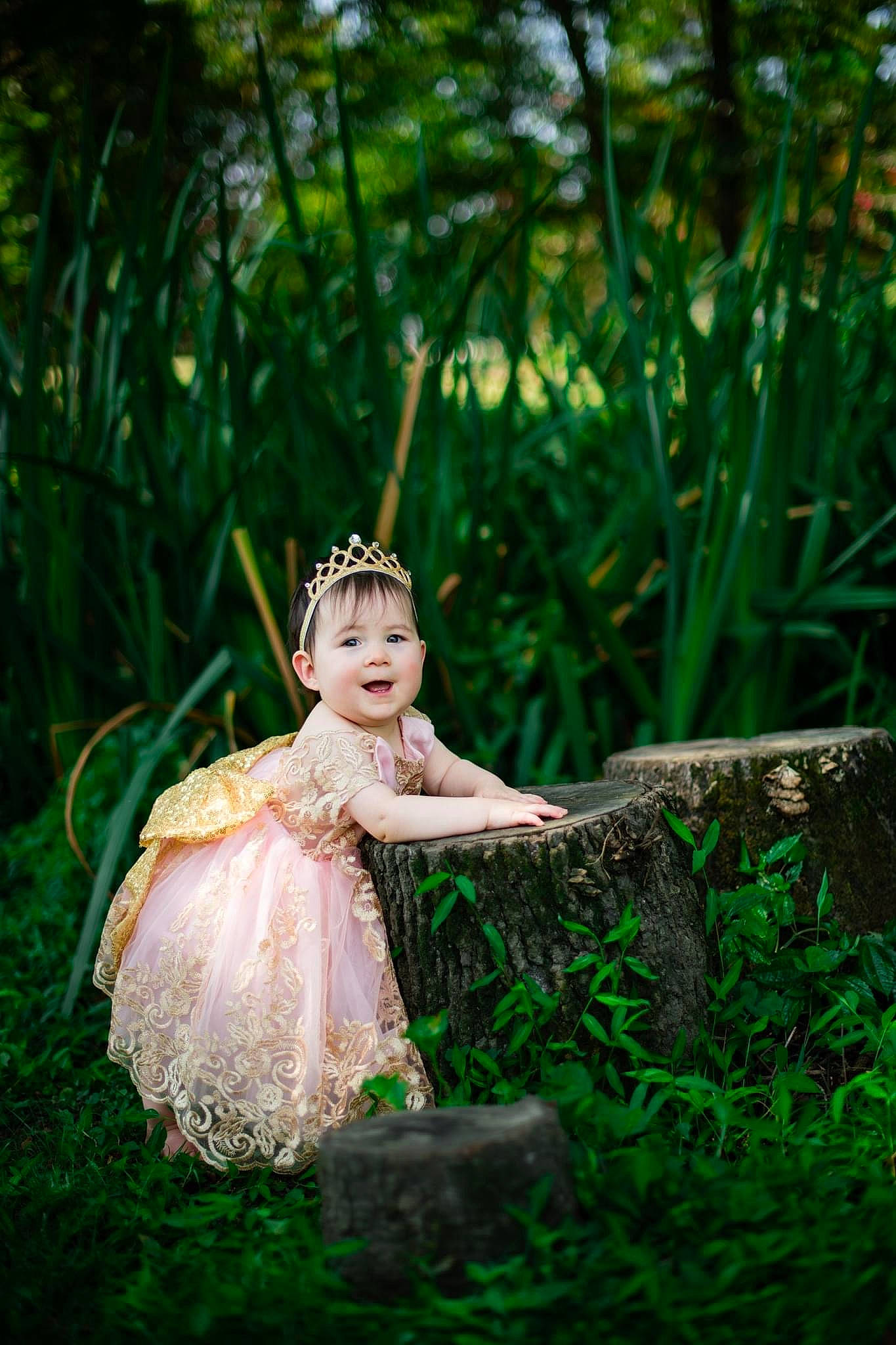 Alice joined the competition — help win amazing prizes! bridal_accessory, doll, dress, fawn, flash_photography, forest, grass, grassland, happy, headpiece, human_body, joy, landscape, meadow, mythical_creature, natural_landscape, people_in_nature, person, plant, terrestrial_plant