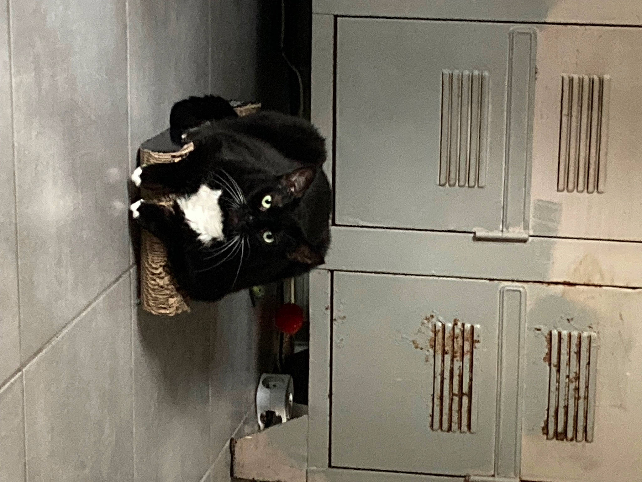 Kumbia participe au concours pour gagner de l'argent avec cette photo : bag, cutlery, gas, hand_tool, household_hardware, kitchen_utensil, machine, metal, nickel, personal_protective_equipment, room, shadow, tool, wood