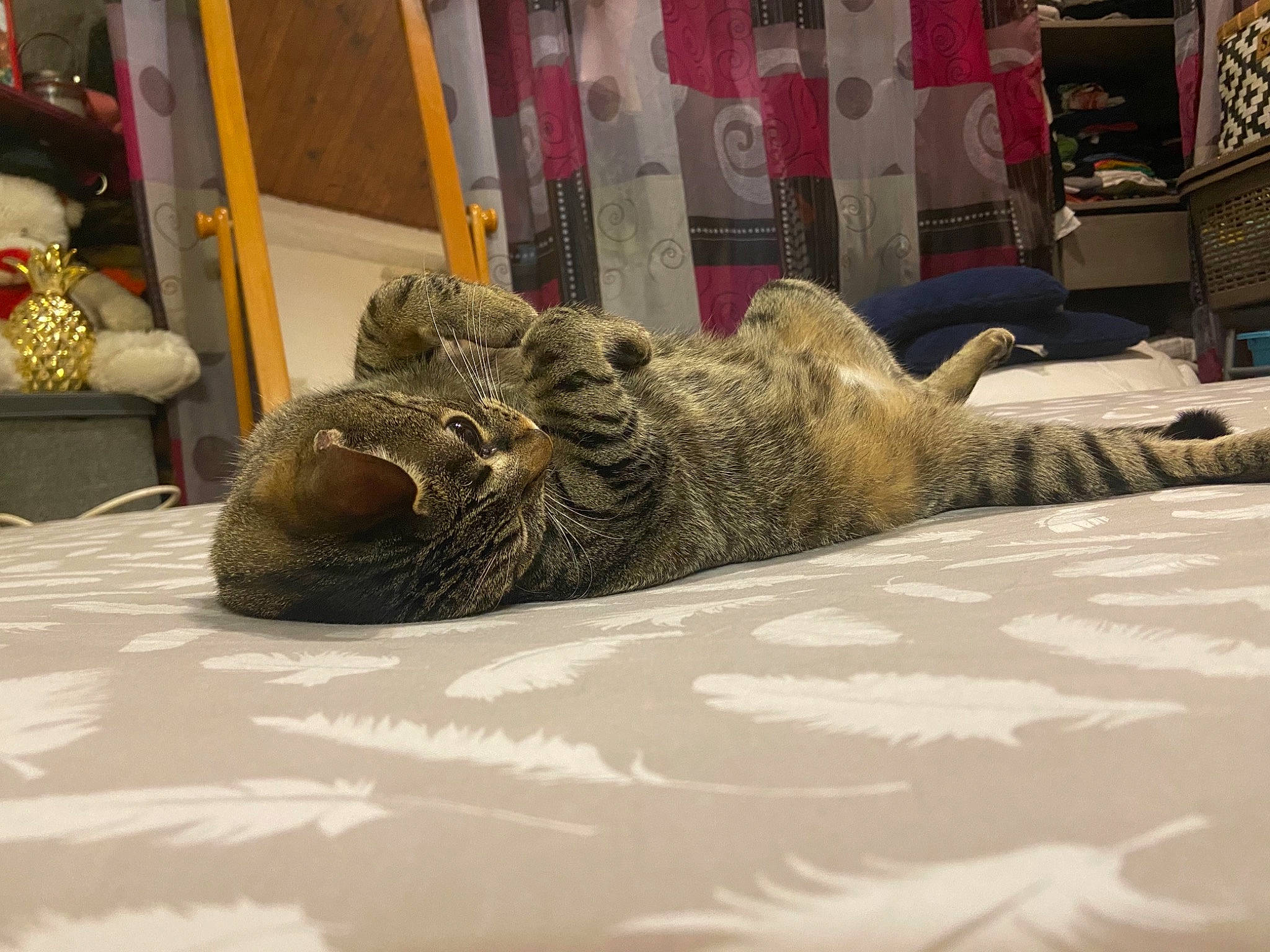 Minnie participe au concours pour gagner de l'argent avec cette photo : art, bed, bed_sheet, bedding, comfort, domestic_short_haired_cat, felidae, floor, flooring, fur, grey, linens, room, small_to_medium_sized_cats, snout, sporting_group, terrestrial_animal, textile, whiskers, wood