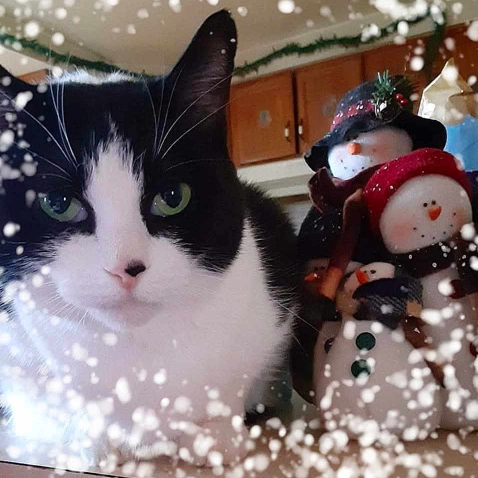 Sam