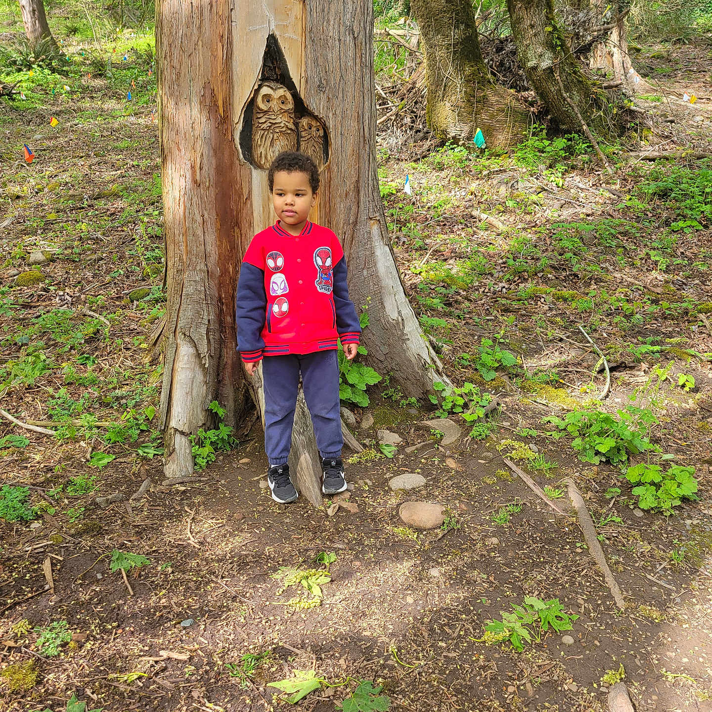 Jeremy joined the competition — help win amazing prizes! carving, child, daylight, forest, greenery, ground, leaf, nature, outdoor, owl_sculpture, pants, person, plant, red_jacket, sculpture, sneakers, standing, tree, trunk, woodland