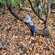 Jeremy is registered to the contest to win money with this photo: autumn, branch, child, daylight, exploration, fall, forest, ground, happy, hoodie, leaves, nature, outdoor, pants, person, play, rocks, shoes, smile, tree