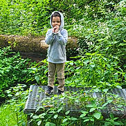 Jeremy is registered to the contest to win money with this photo: child, hoodie, standing, outdoor, greenery, plants, wildflowers, nature, forest, metal_platform, casual_clothing, young_boy, curly_hair, daylight, foliage, shoes, pants, explorer, peaceful, portrait