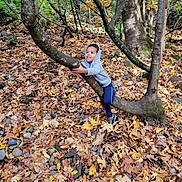 Jeremy is registered to the contest to win money with this photo: child, hoodie, tree, forest, autumn, leaves, nature, outdoor, smiling, happy, curious, branch, boy, casual_clothing, play, fall, daylight, rocks, scenery, exploration