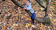 Jeremy is registered to the contest to win money with this photo: autumn, boy, branch, casual_clothing, child, curious, daylight, exploration, fall, forest, happy, hoodie, leaves, nature, outdoor, play, rocks, scenery, smiling, tree